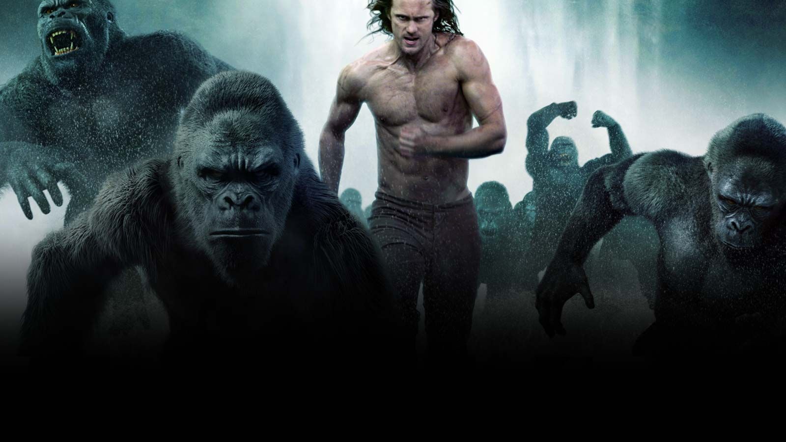 Descargar La Leyenda De Tarzán Gratis En 1 Link Por Mega Disfruta De Películas Con Excelente Calidad Sin Registrarte En Mega Tarzan Tarzan Of The Apes Movies