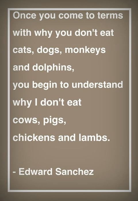 Begin vegan begun #vegan #quotes #friendsnotfood #vegetarianquotes