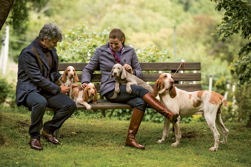 Stuart Mercer Gentleman S Shoppe Lexington Ky Dogs 5