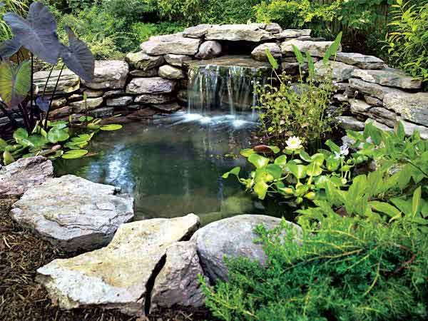 Build Your Own Pond Estanques, Estanques de jardín y Cascadas - cascadas en jardines Build Your Own Pond Estanques, Estanques de jardín y Cascadas - cascadas en jardines