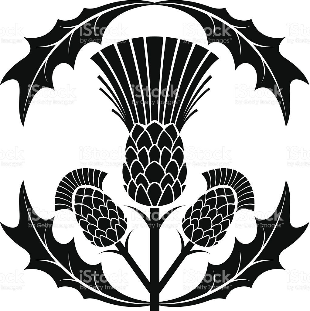 Simple Scottish Thistle Silhouette Vector Illustration