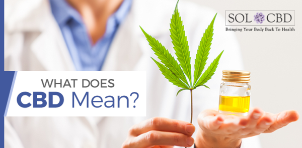 New To CBD Learn What CBD Stands For And Potential Benefits Cbd Cbd new-to-cbd-learn-what-cbd-stands-for-and-potential-benefits-cbd-cbd