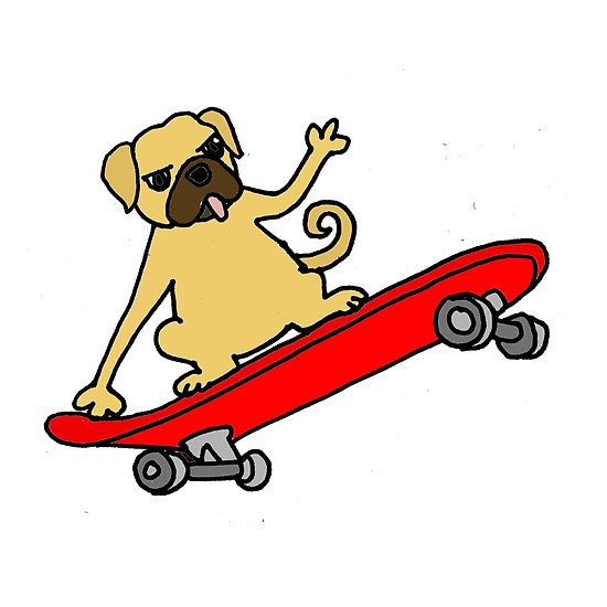 Funny Pug Dog Skateboarding Cartoon With Images Pugs Funny