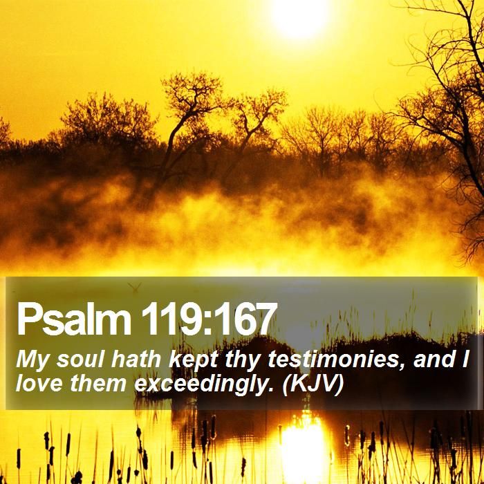 Psalm My Soul Hath Kept Thy Testimonies And I Love Them Exceedingly Psalm My Soul Hath Kept Thy Testimonies And I Love Them Exceedingly