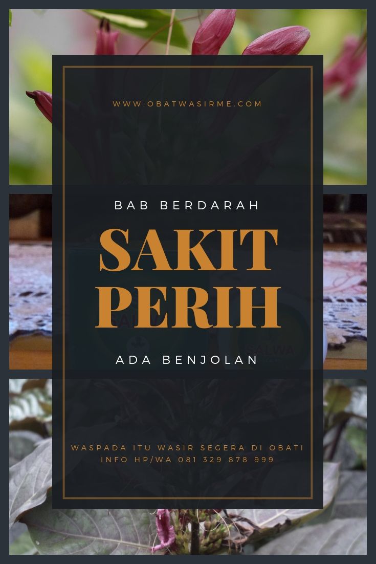 Pin on CARA MENGOBATI WASIR TANPA OPERASI