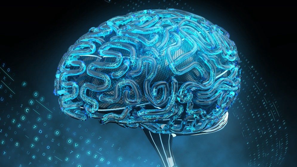 A new kind of Information Processing in the Brain https