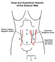 Uterine Incision Ring Clamp Uterine Incision Ring Clamp