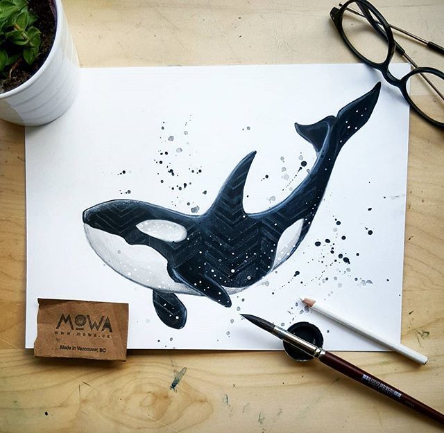 Deep sea baby. ⚪♥⚪ Original for sale. #illustration #orca #watercolor #whale… Orca Tattoo, Whale Tattoos, Whale Painting, Art Painting, Animal Drawings, Art Drawings, Orca Art, Aquarell Tattoos, Watercolor Paintings