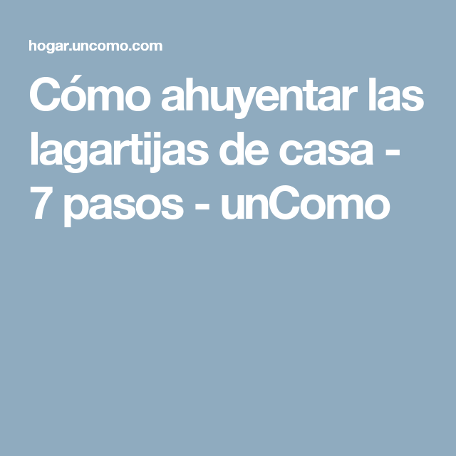 Cómo Ahuyentar Las Lagartijas De Casa 7 Pasos Uncomo Mosquito Tips