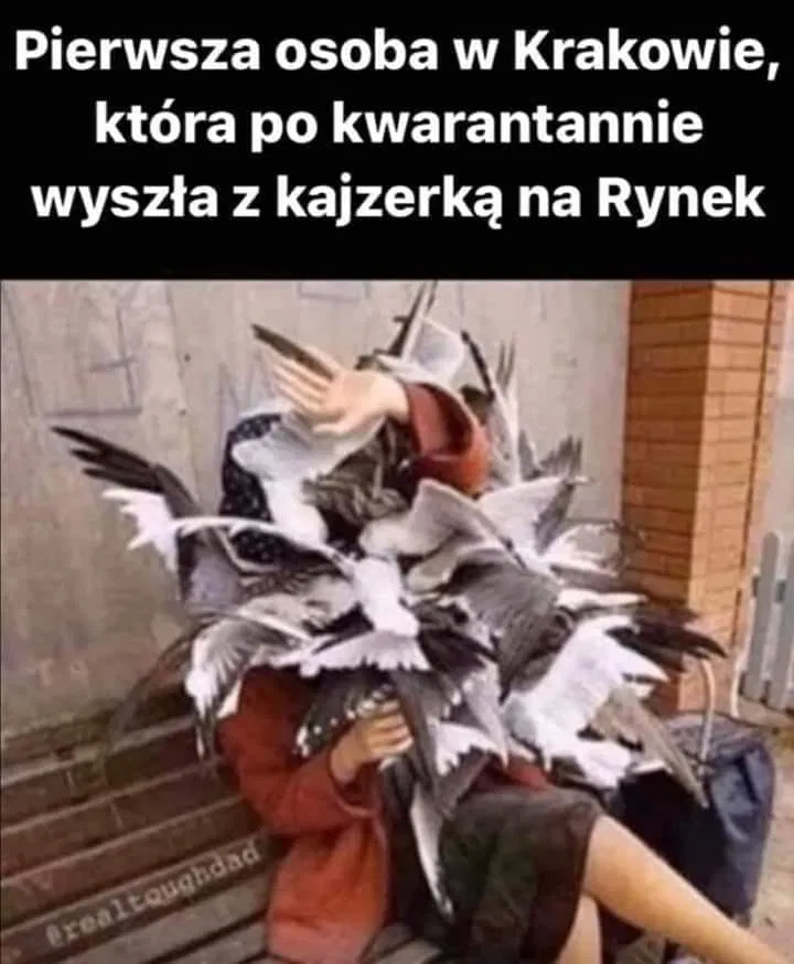 17 Żarty Dnia, Czwartek 23 Kwiecień 2020 - Kocham Humor Wtf Funny, Funny Memes, Jokes, Weekend Humor, Best Memes, Fnaf, Haha, Funny Pictures, Laugh