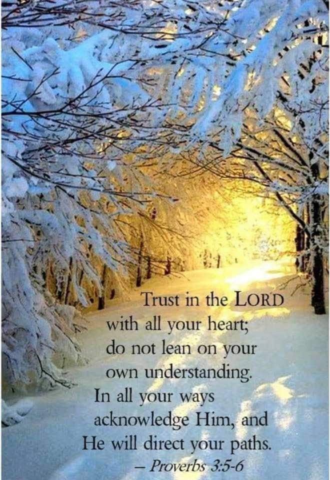 Pin By FaithHopeandLove777 On Blessed Hope In 2024 Bible Verse Pin By FaithHopeandLove777 On Blessed Hope In 2024 Bible Verse