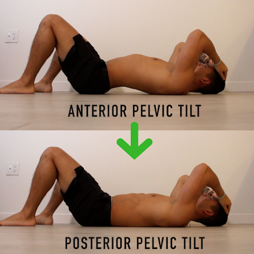 Anterior Pelvic Tilt Ab Exercises
