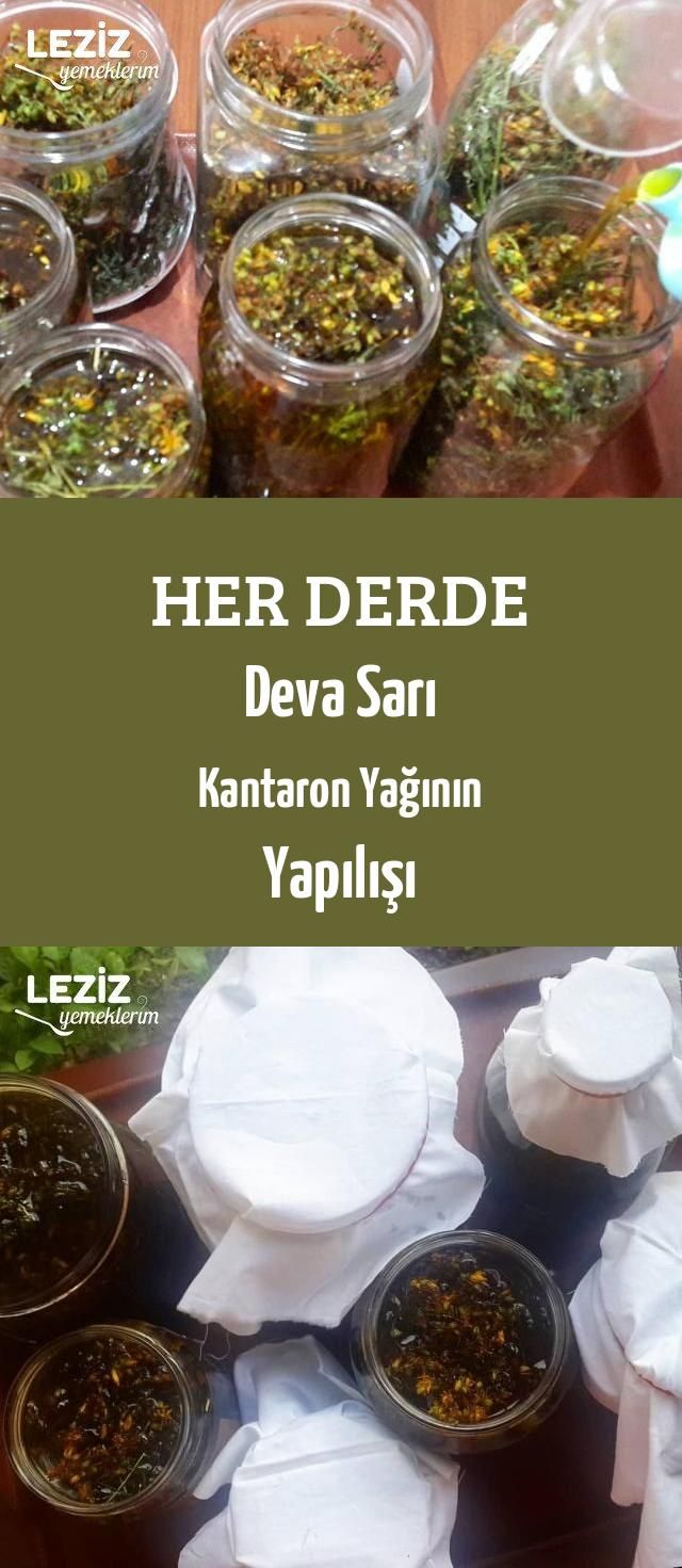 HER DERDE DEVA OLAN YİYECEKLER HER DERDE DEVA OLAN YİYECEKLER