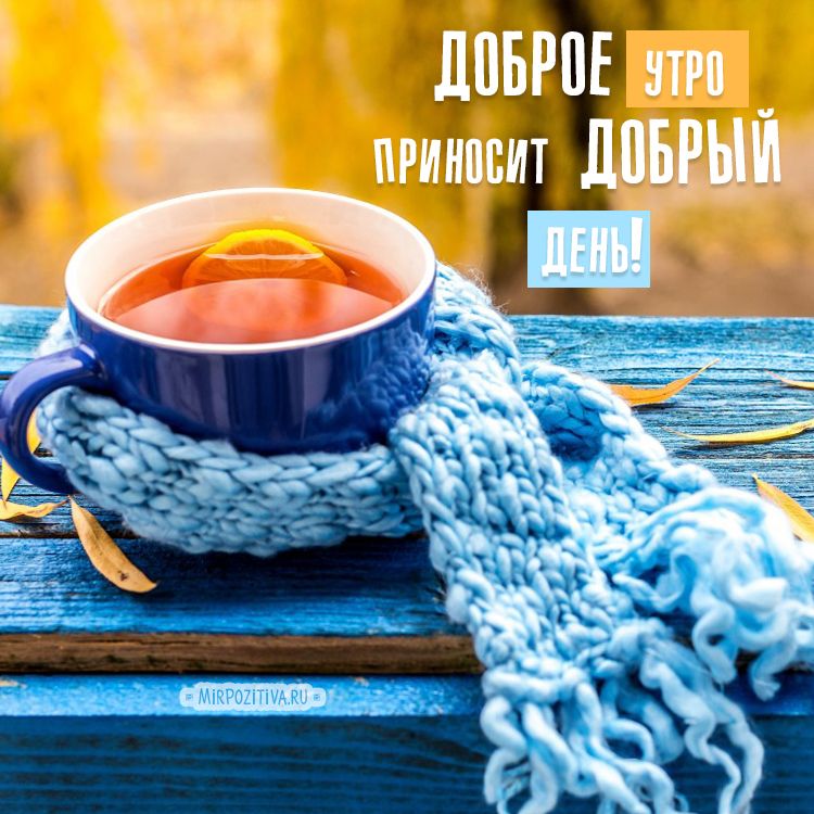 это доброе утро в октябре картинки нужно использовать