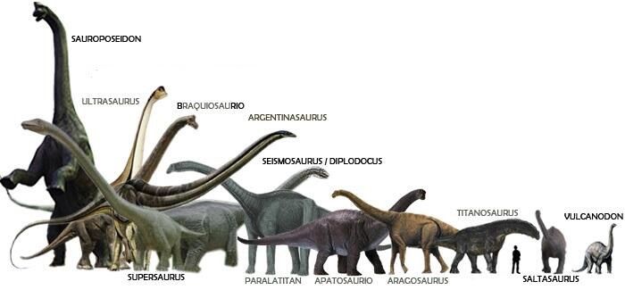 size comparison dinosaurs pinterest prehistoric animals and titanosaurus size
