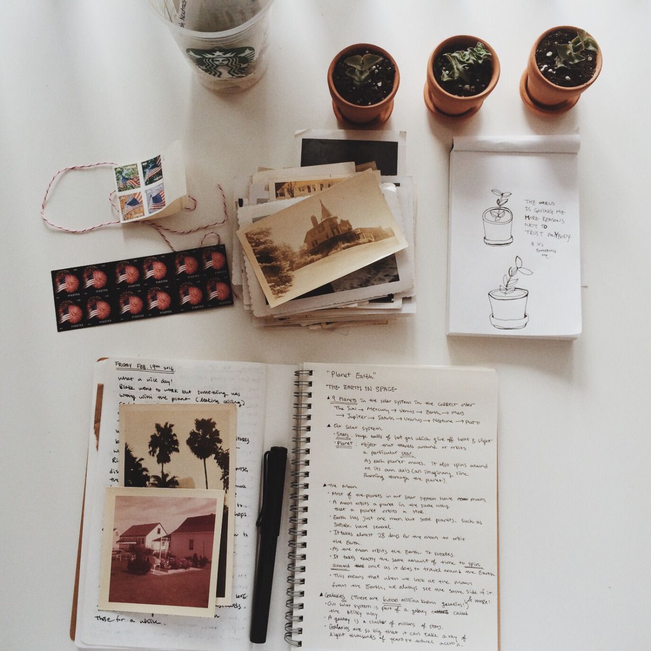 Custom coursework homeworkservice