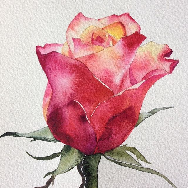 Bouquet De Roses A L Aquarelle Par Valentine Aquarelle Val Tine