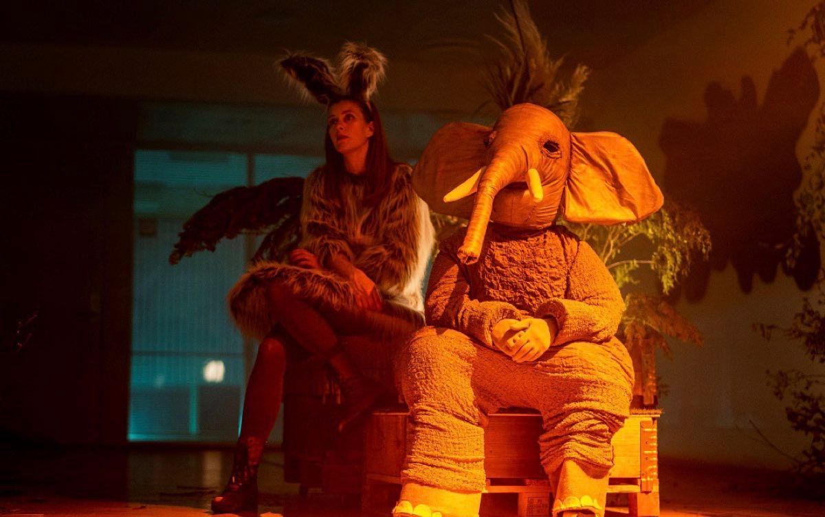30 Películas De Terror Extremo Que Sólo Los Verdaderos Cinéfilos Conocen Peliculas Buenas En Netflix Mejores Peliculas De Netflix Peliculas De Terror Extremo