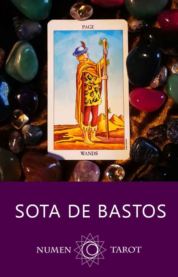 ¿Qué significado tiene la sota de bastos?