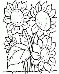 How To Draw A Sunflower Really Easy Drawing Tutorial Dibujos