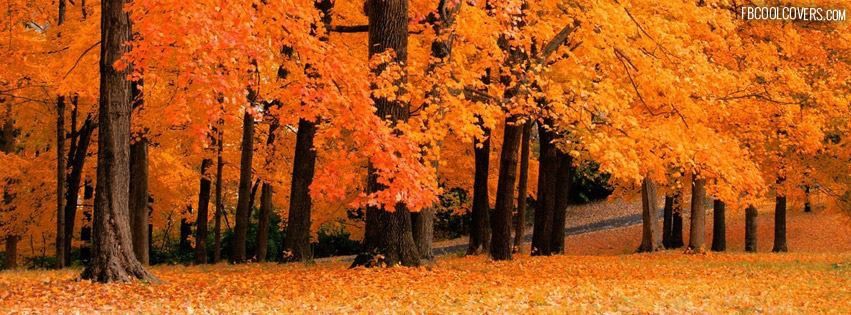 pin by lisa fuselier on autumn 2 fall facebook cover autumn headers