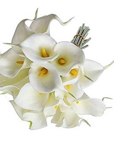 latex calla lily favor flowers Egg and sperm donors