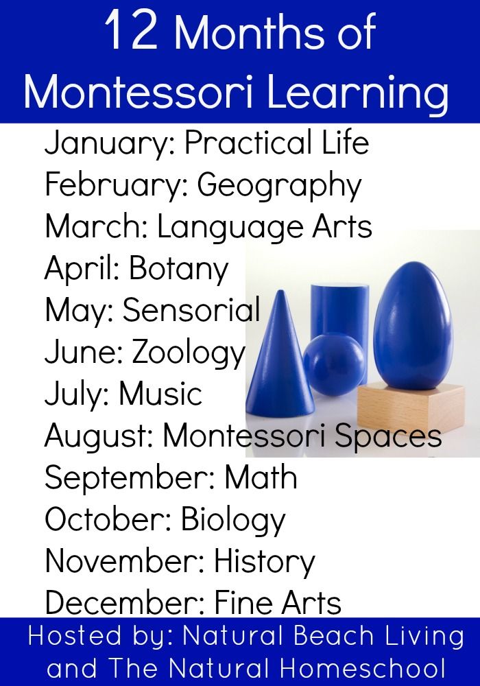 12 months of Montessori Learning, practical life, geography, Language Arts, Botany, Sensorial, Zoology, Music, Montessori Spaces, Math, Biology, History, Fine Arts, Maria Montessori activities www.naturalbeachliving.com Montessori Geography, Montessori Science, Montessori Toddler Activities, Montessori Lessons, Montessori Homeschool, Montessori Practical Life, Montessori Classroom, Preschool Curriculum, Montessori Materials