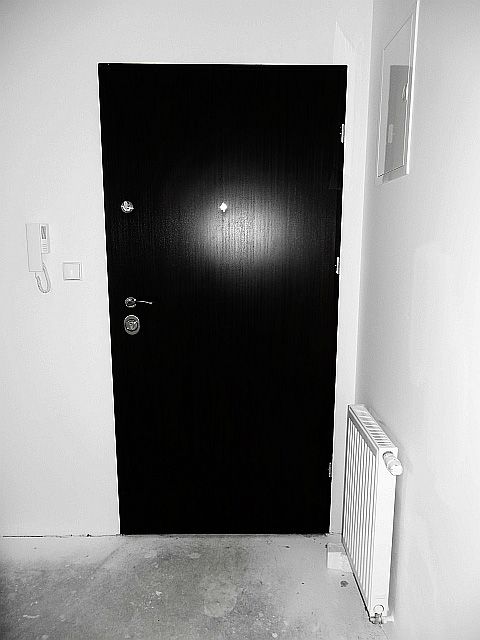 very good entrance door to the premises (reinforced steel, …