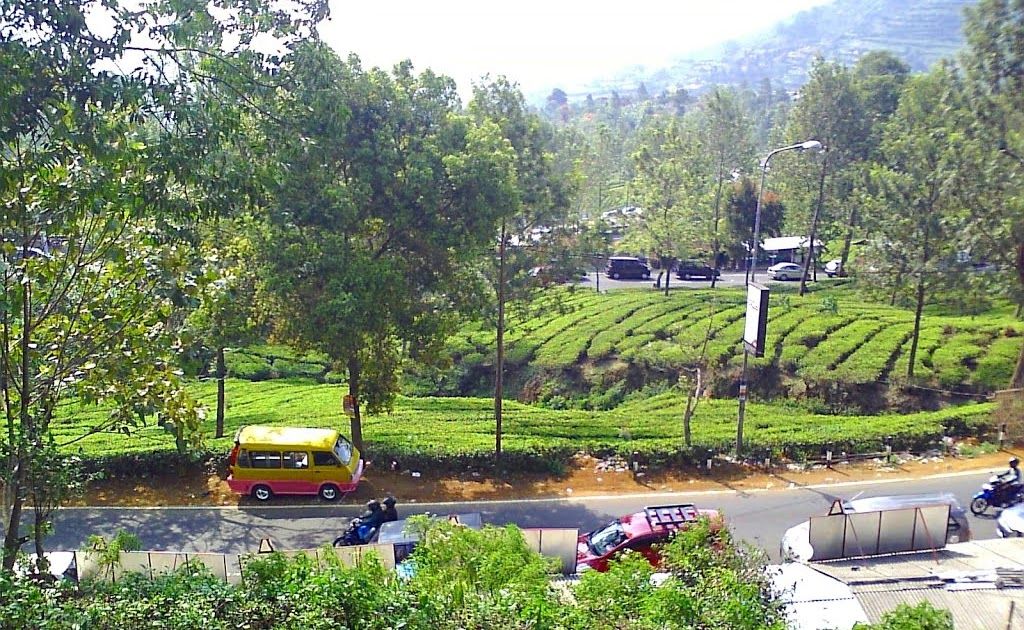 Tempat Di Mana Anda Dapat Menemukan Gambar Dan Foto Pemandangan Yang Sangat Keren Sekali Di 2020 Pemandangan Gambar Lukisan Rumah