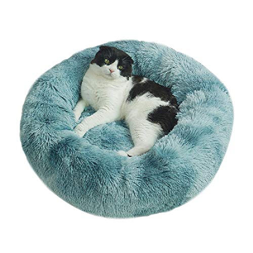 Vivi Bear Coussin Pour Chien Coussin Pour Chat Extra Doux Confortable Et Mignon Coussin Pour Lit De Chat Lavable Conv Lit Pour Chat Animaux Poilus Coussin Chat Vivi Bear Coussin Pour Chien Coussin Pour Chat Extra Doux Confortable Et Mignon Coussin Pour Lit De Chat Lavable Conv Lit Pour Chat Animaux Poilus Coussin Chat