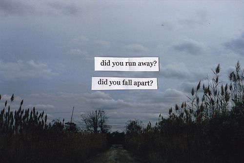 Did You Run Away Did You Fall Apart Taylor Swift Songs Lyric Quotes Music Lyrics