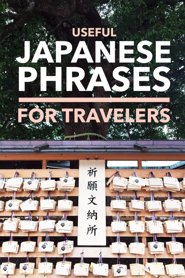 15 Useful Japanese Phrases for Travelers — Those Who Wandr | Japan