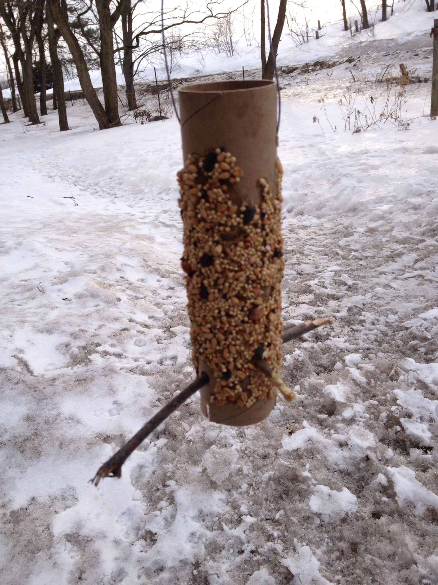 Recycled bird feeder. | Bird feeders, Outdoor decor, Bird