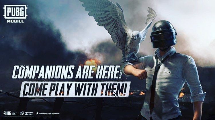 Pubg Pc Lite Official Launch Game Of Survival Survival Games Online Multiplayer Games