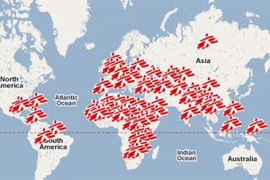 Essay about doctors without borders