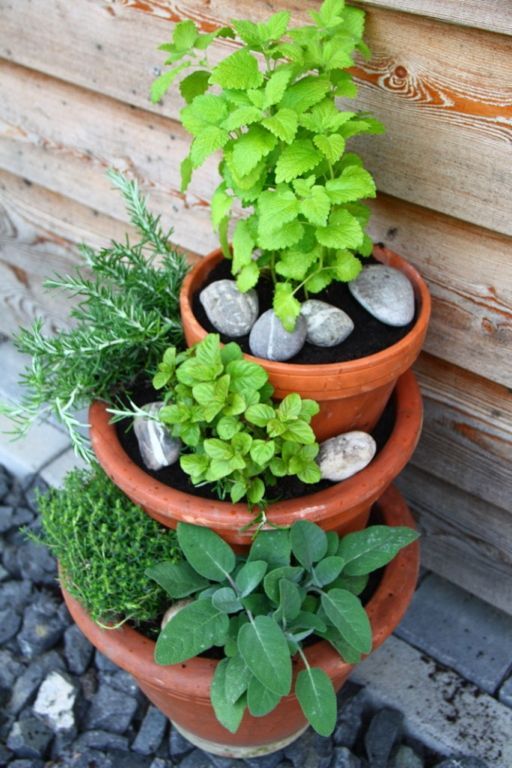 Eigenes gemüse auch ohne garten! -