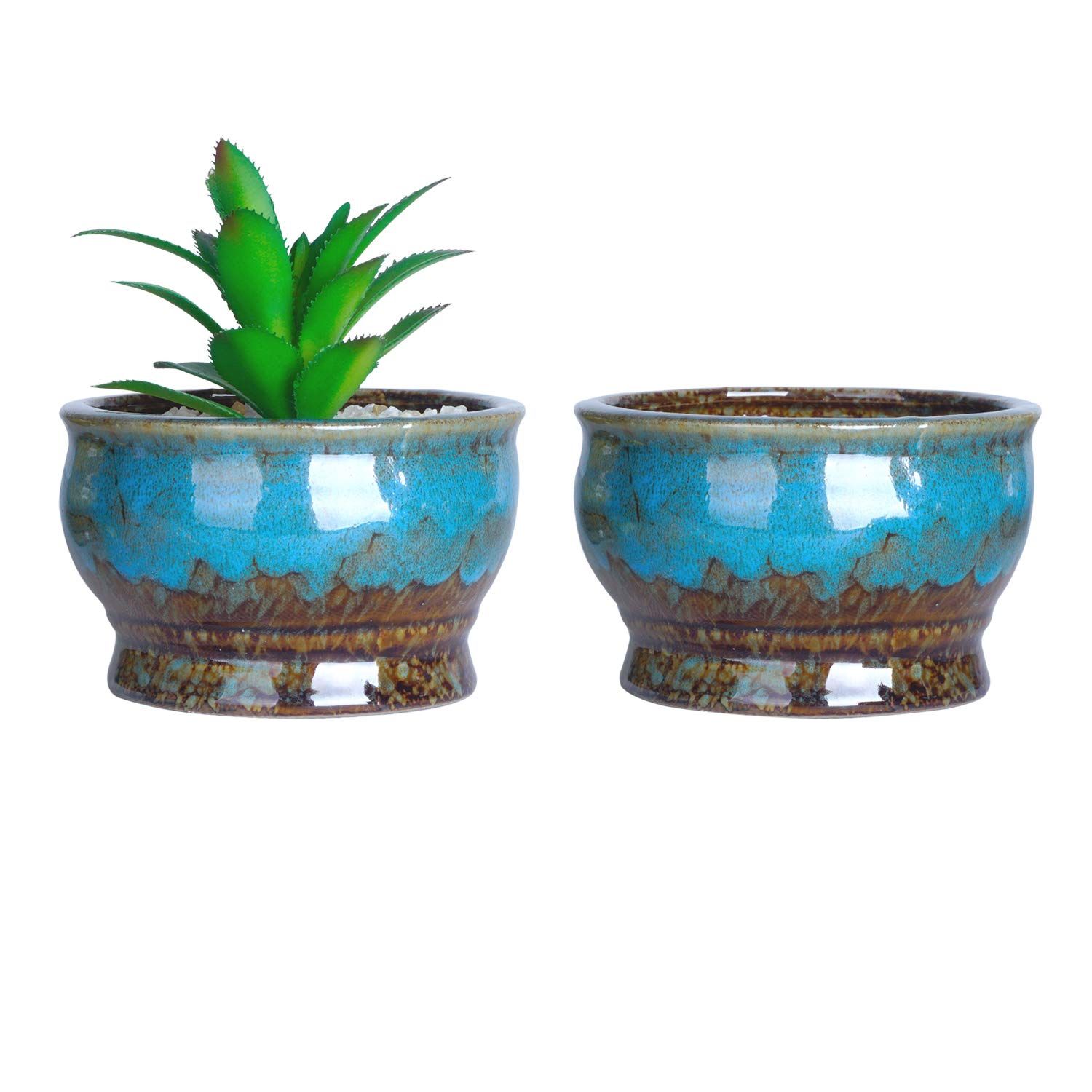 cute flower pots for succulents