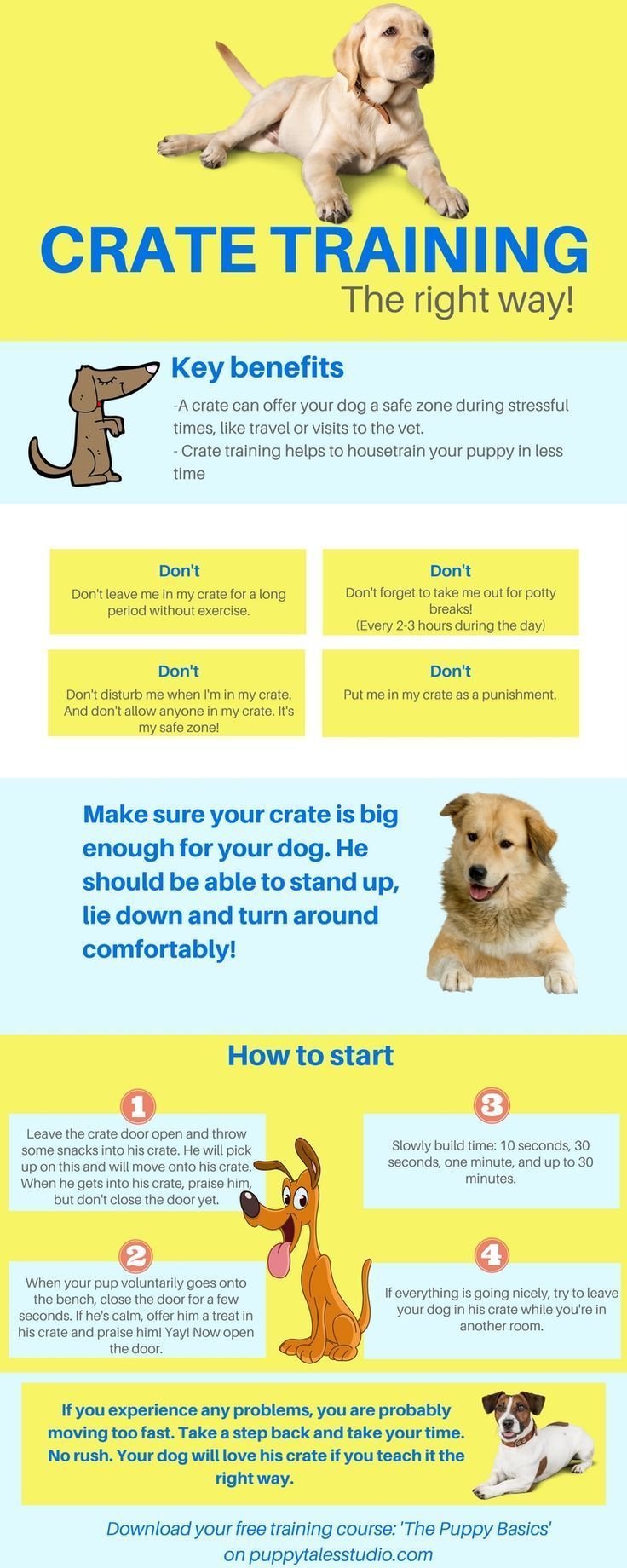 Dog Training 101 How To Train Your Dog How To Train A Dog