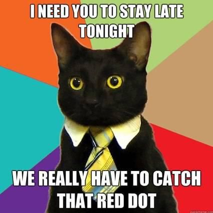 Funny Cat: Office Cat Is Working Late Tonight. Cats: Funny Cat - 425x426 - jpeg Working Late Office Animal