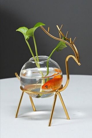 Beautiful Hydroponics Glass Flower Pot