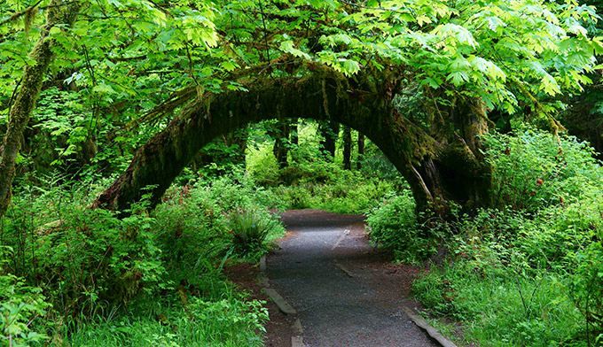 National Park Jobs Near Me Best Time Of Year To Visit Banff National Park