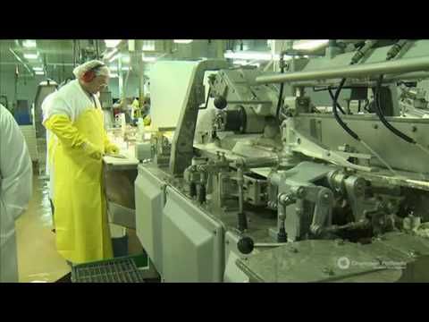 Acana Orijen The Champion Pet Food Story Best Pet Food On