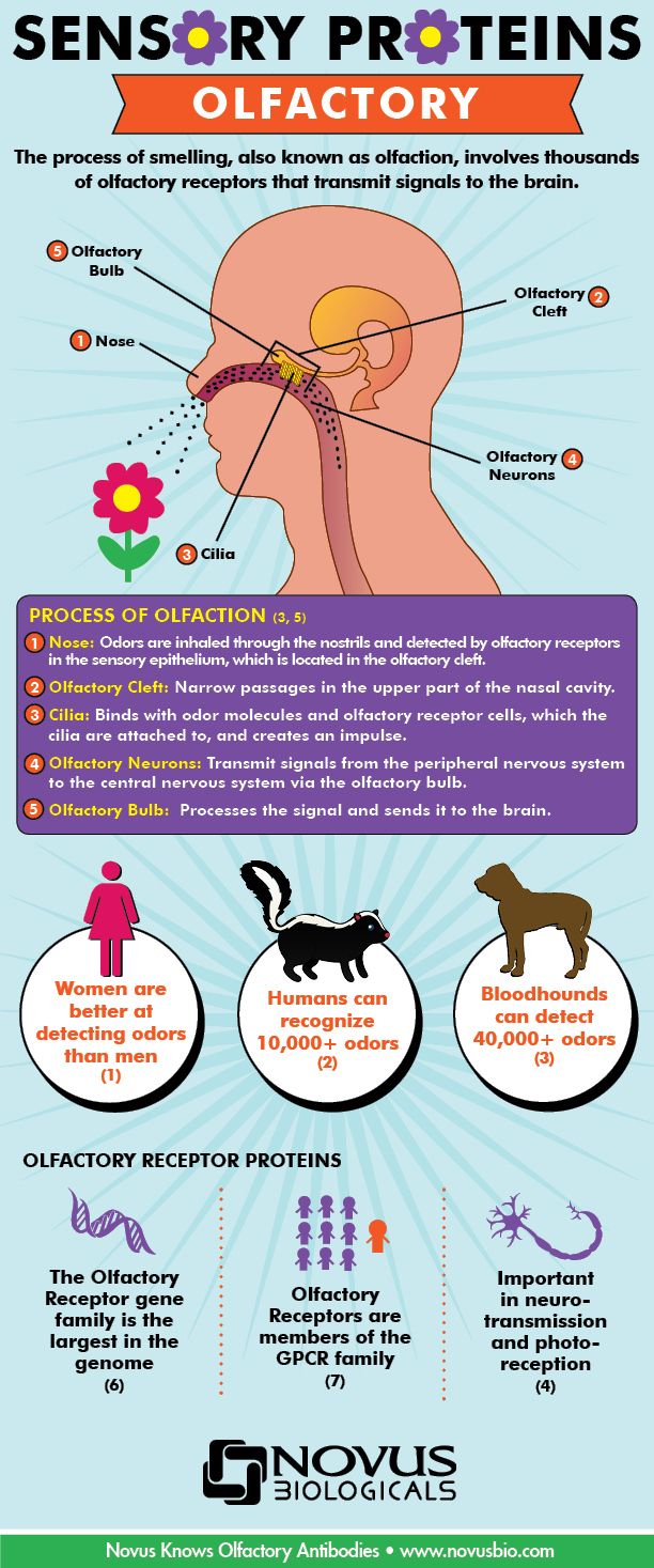 Pin on Essential Oils and Natural Health