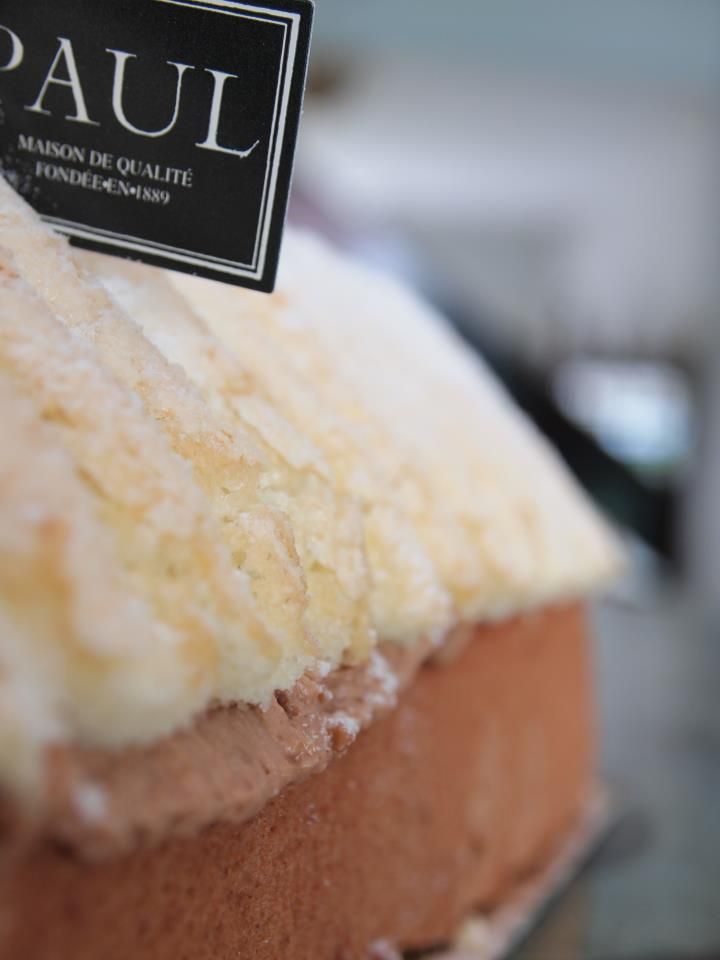 chocolate log cake from paul a new french pastry bakery not sure if i got the terminology righ franzosisches geback franzosische backerei lebensmittel essen