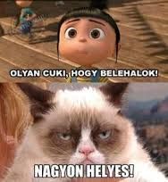 Képtalálat a következőre: „grumpy cat magyarul felirattal” | A világ legundokabb macskája grumpy cat. | Pinterest | Grumpy cat and Humor New Funny Pics, Cat Jokes, Funny Jokes To Tell, Grumpy Cat Humor, Funny Pictures, Grumpy Kitty, Cats Humor, School Pictures, Sports Pictures