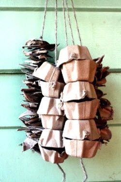 Egg Carton Bird Foraging Toy - petdiys.com Diy Budgie Toys, Diy Rat Toys, Diy Bunny Toys, Diy Parrot Toys, Parakeet Toys, Diy Bird Toys, Diy Birds, Toy Diy, Diy Degu Toys
