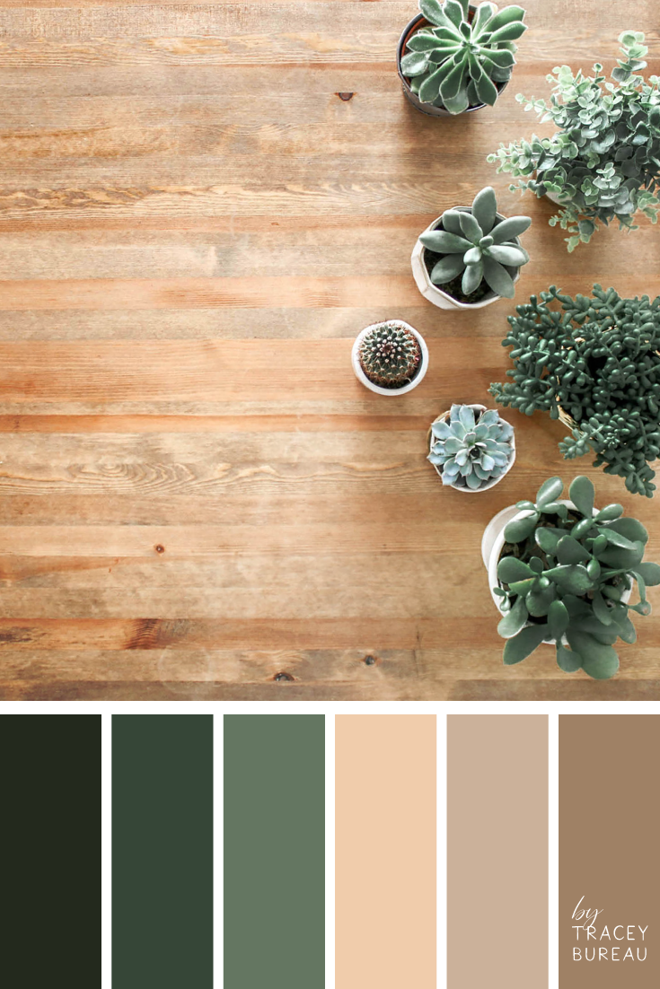 Color Inspired Palettes | byTraceyBureau | Warm colour palette, Rustic