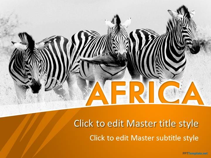 Free Africa PPT Template Zebra Pinterest Ppt Template