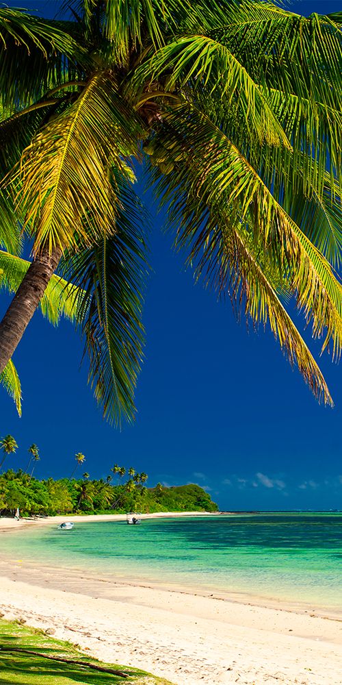guide to Fiji
