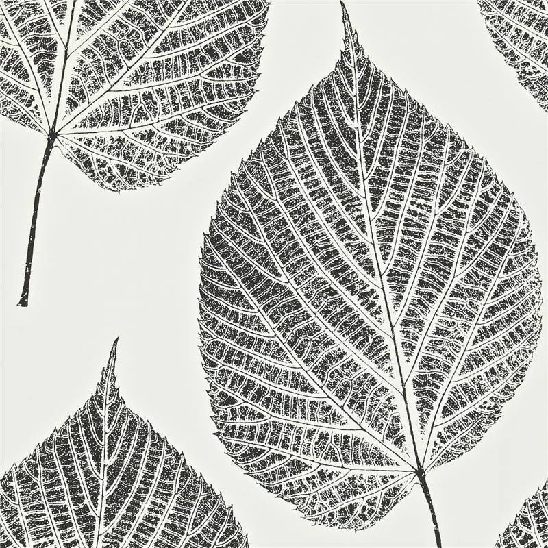 Onyx Black Chalk White 110373 Leaf Momentum 2 Onyx Black Chalk White 110373 Leaf Momentum 2